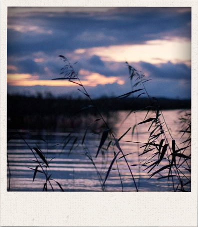 Täällä sielu lepää.